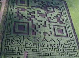 The Amazing Field Maze