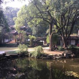 Mount Yuelu