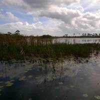 Savannas Preserve State Park