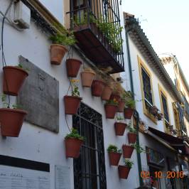 Calleja de las Flores