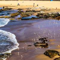 Maroubra Beach Rocky Climb