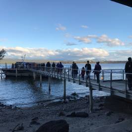 Te Anau Glowworm Caves