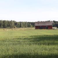 Viikinlahti park