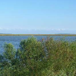 Marshes of Glynn
