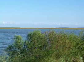 Marshes of Glynn