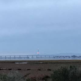 Palo Alto Baylands Nature Preserve