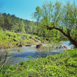 Eno River State Park