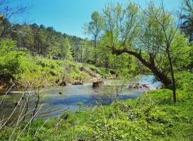 Eno River State Park