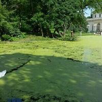 Prospect Park Audubon Center at the Boathouse