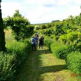 Jardins et Chateau de La Chatonniere