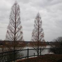 Riverwalk