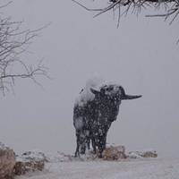 Lubbock Lake Landmark