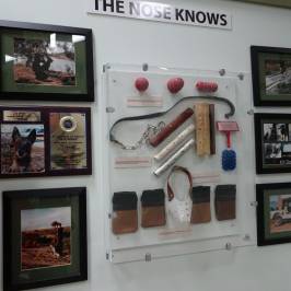 National Border Patrol Museum