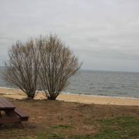 Sands Point Preserve