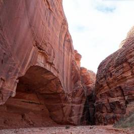 Wire Pass Trail (Buckskin Gulch access)