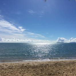 Palm Cove Beach