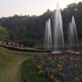 Queen Sirikit Botanic Garden