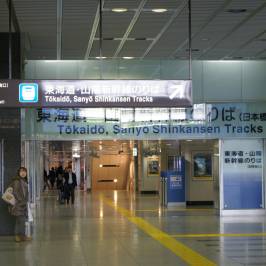 Tokyo Central Railway Station