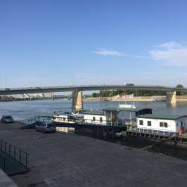 Dunav (The Danube)
