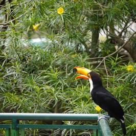 Santa Cruz Zoo