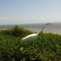 Long Key State Recreation Area