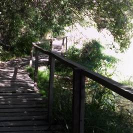 Laguna Verde