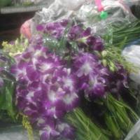 Pak Khlong Talat (Flower Market)
