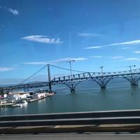 Hercilio Luz Bridge