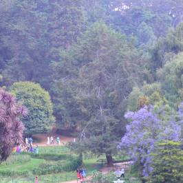 Botanical Gardens