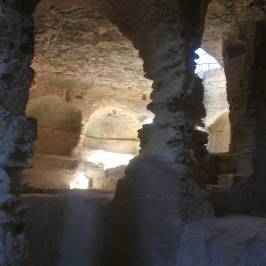 Abbey of Saint-Roman (L'abbaye de Saint-Roman)