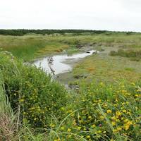 Ocean City State Park