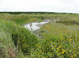 Ocean City State Park
