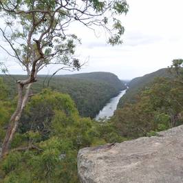 The Rock Lookout