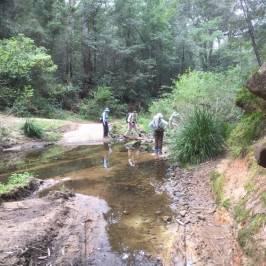 Lane Cove National Park