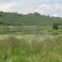 Hermitage Park