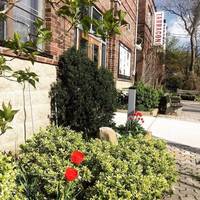 Tarragon Theatre