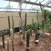 Druid Hill Park Conservatory