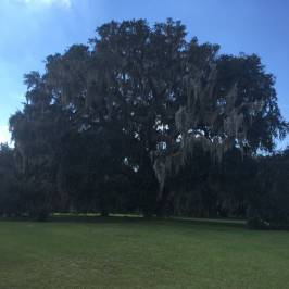 Hofwyl-Broadfield Plantation