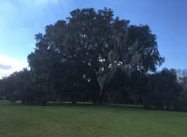 Hofwyl-Broadfield Plantation