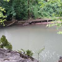 Audubon Acres and Maclellan Island