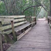 Houston Audubon