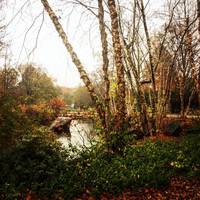 Swan Point Cemetery