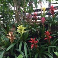 Yume no Shima Tropical Greenhouse Dome