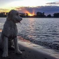 Kelley Point Park