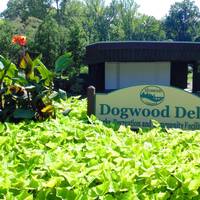 Dogwood Dell