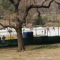 Wallman Skating Rink