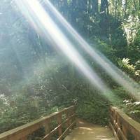 Audubon Society of Portland