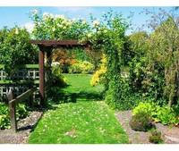 Edmond's Factory Garden