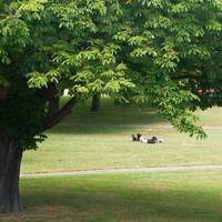 Latimer Square
