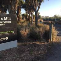 Styx Mill Conservation Reserve